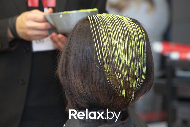 Семинар для парикмахеров "CHI Cut & Color Trends 2013", фото № 35