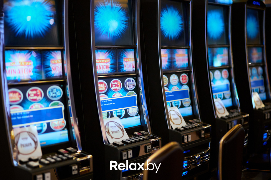 Пекинская капуста, фото № 40