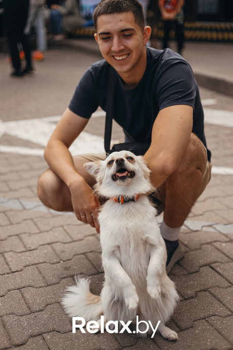 Акция Пушистого Добра, фото № 162