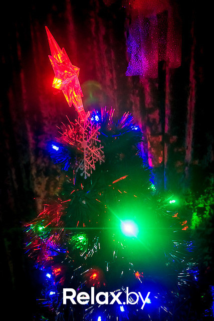 Mojitos Party, фото № 43