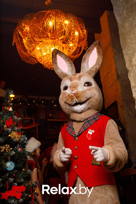 Live Lounge, фото № 19