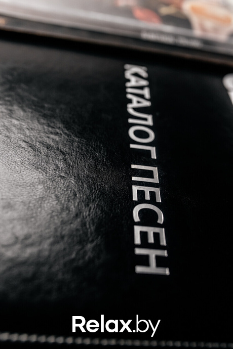 Terra Karaoke, фото № 9