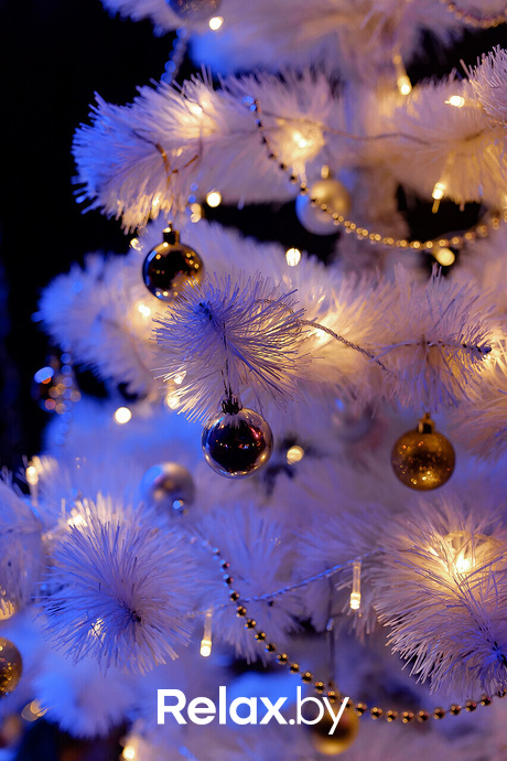 Предновогодние пятницы в Max Show, фото № 13