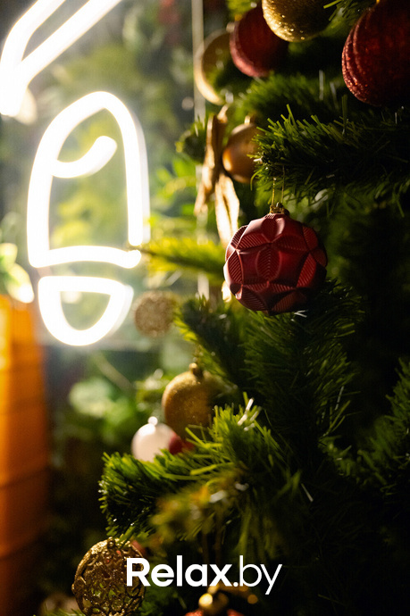 Monkey Brothers, фото № 69