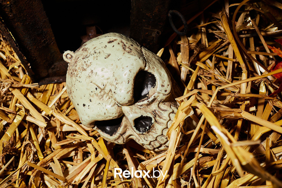 Halloween day 1, фото № 8