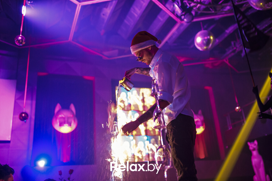 Euphoria Rich Cat, фото № 46