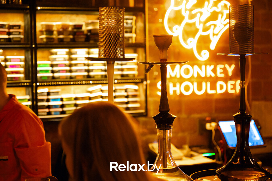 Monkey Brothers, фото № 55