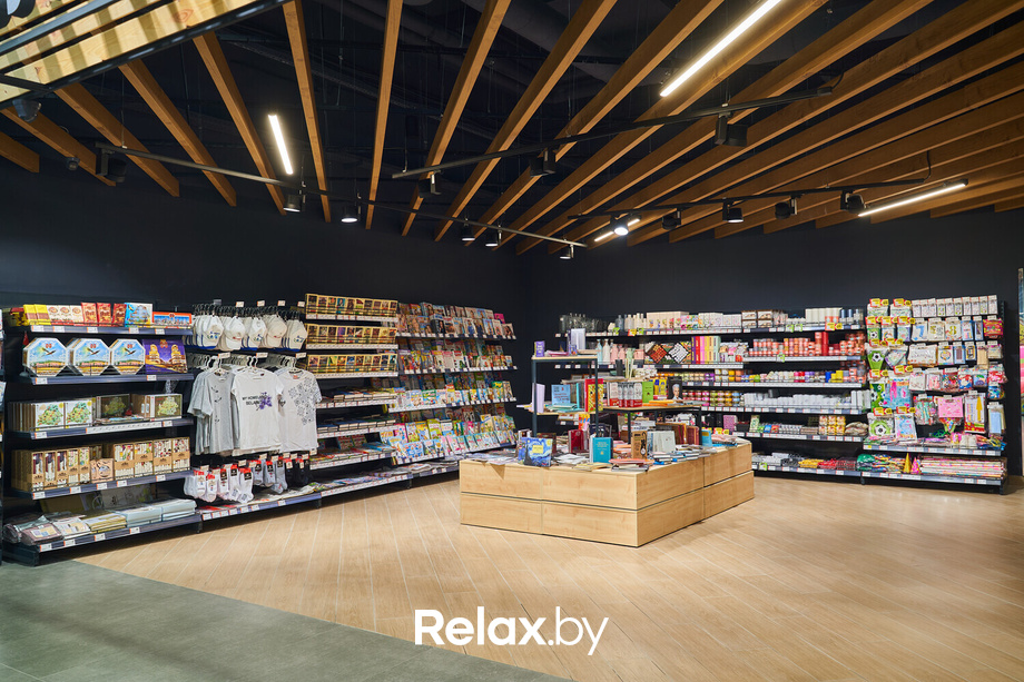 Открытие ГИППО, фото № 67