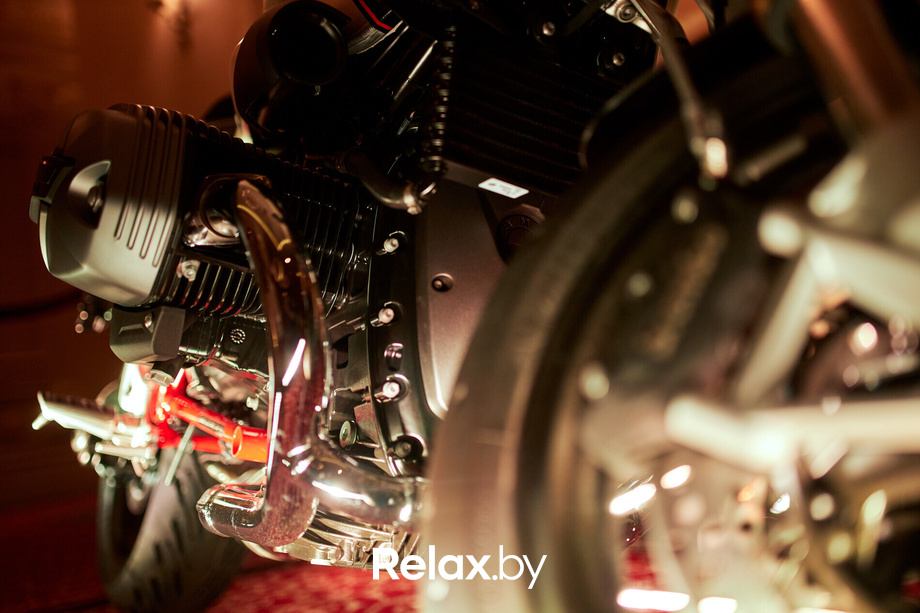 Пекинская капуста, фото № 16