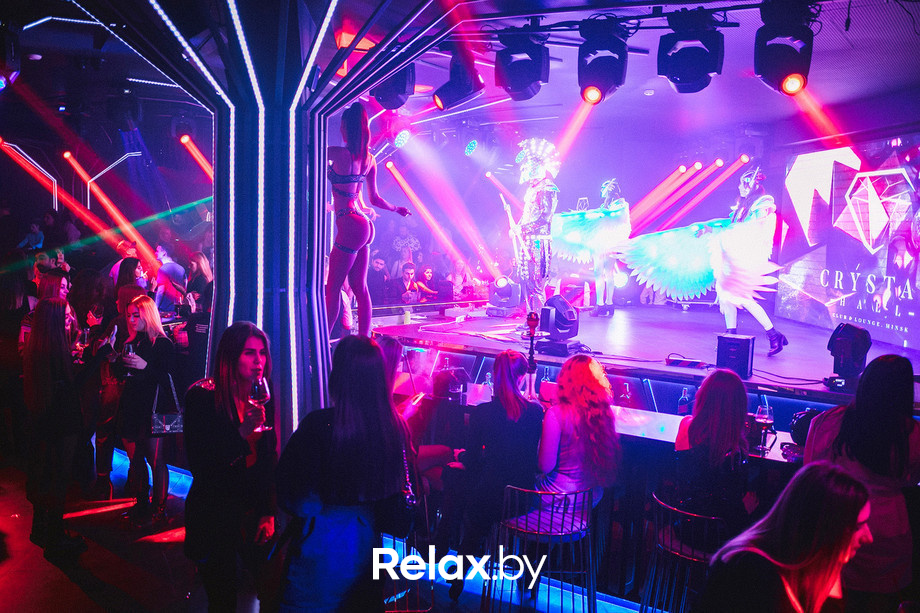 Birds show, фото № 66