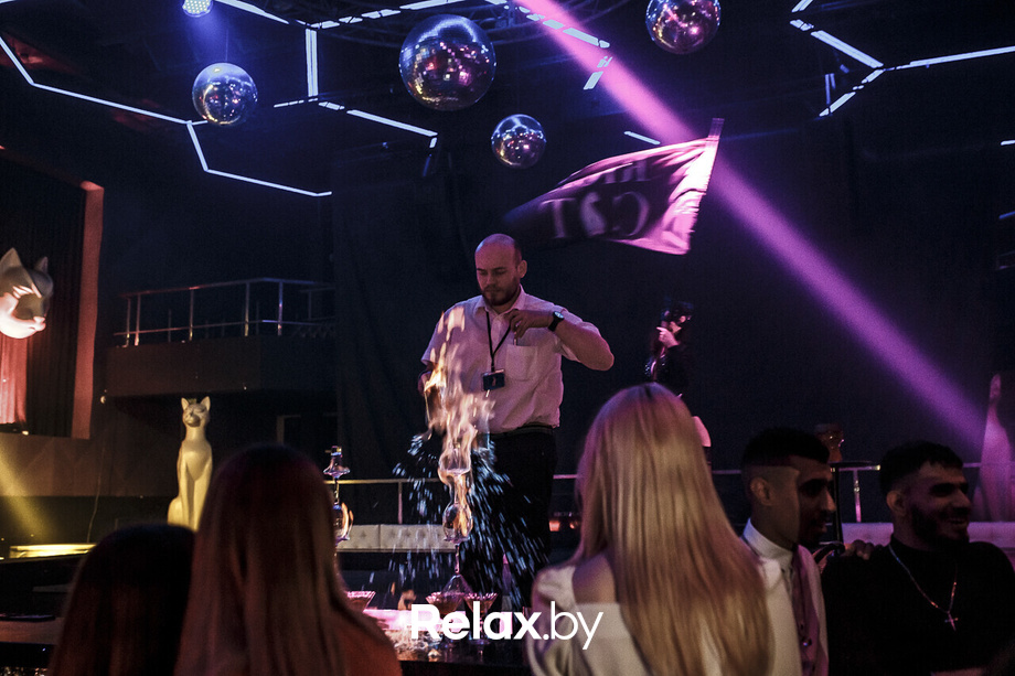 New Season in RICH CAT, фото № 45