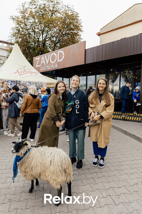 Благотворительная акция пушистого добра, фото № 41