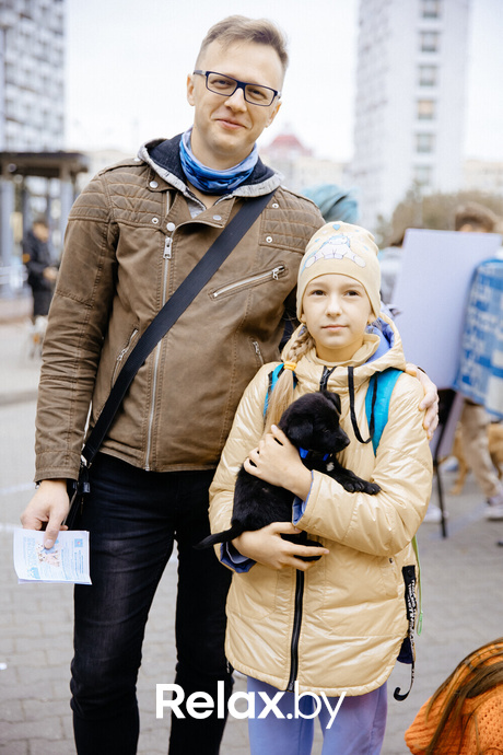 Благотворительная акция пушистого добра, фото № 101