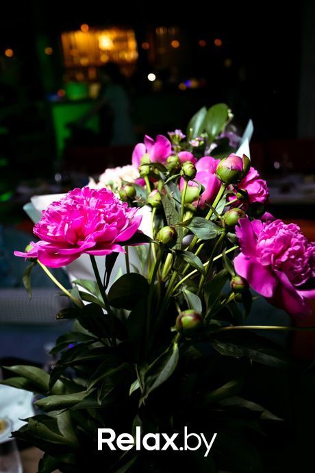 Ночные жители, фото № 51