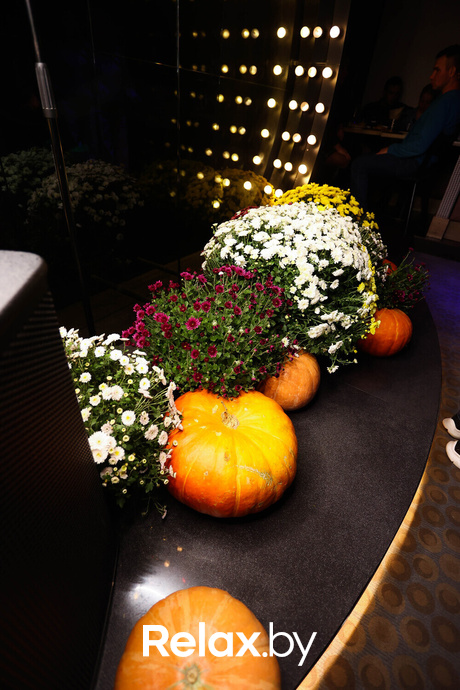 Terra Karaoke, фото № 1