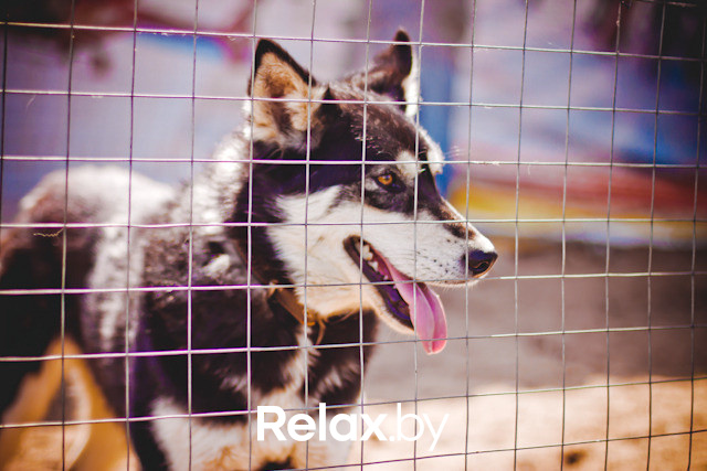 Экспедиция презентация Пикник-отеля, фото № 1