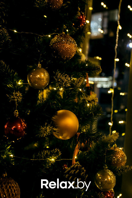 Новогодние вечера в Terra Club, фото № 29