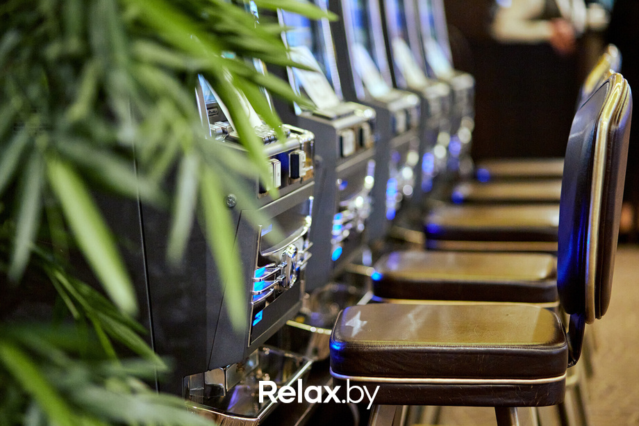 Пекинская капуста, фото № 39