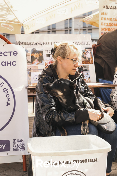 Акция Пушистого Добра, фото № 116