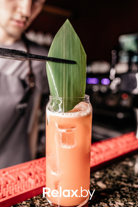 Terra Karaoke, фото № 25