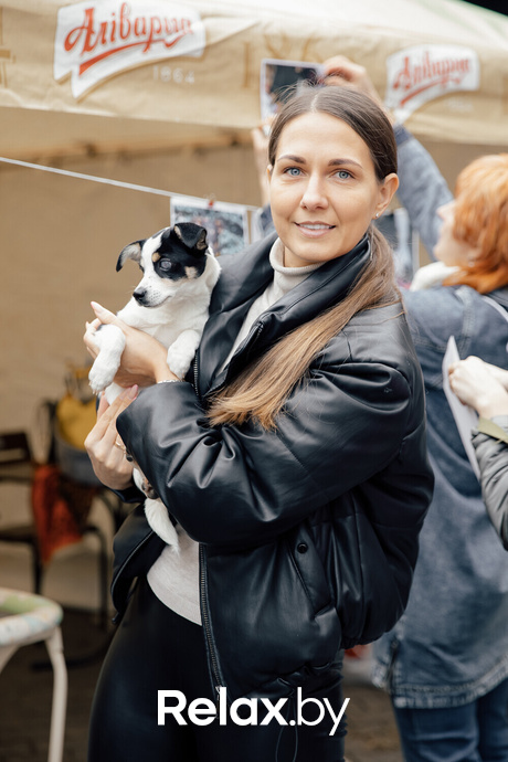 Благотворительная акция пушистого добра, фото № 5