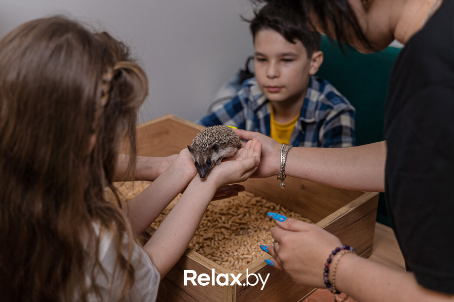 Открытие антикафе «Ёж кафе», фото № 14