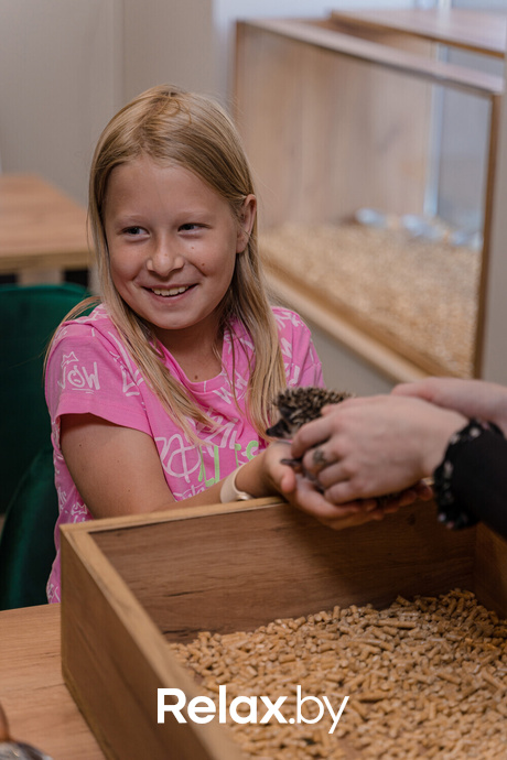 Открытие антикафе «Ёж кафе», фото № 11