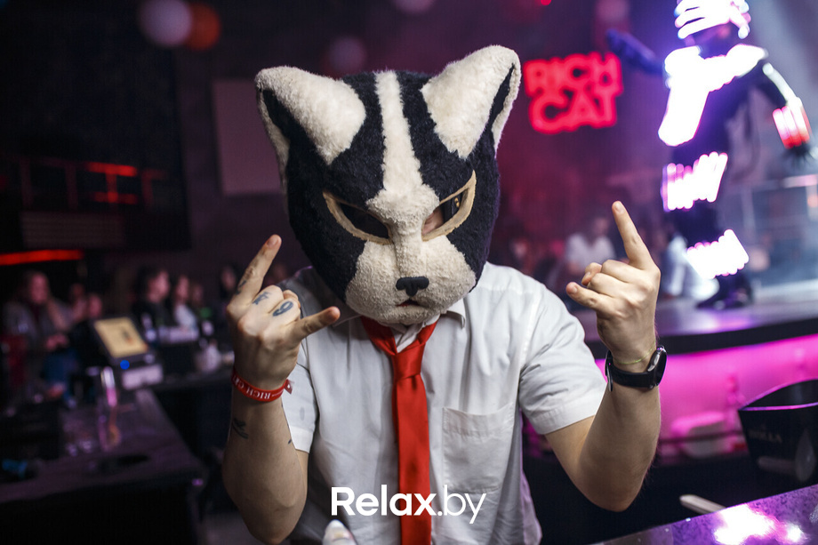 Rich Cat 6 лет, фото № 23