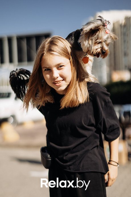 Акция Пушистого Добра, фото № 34