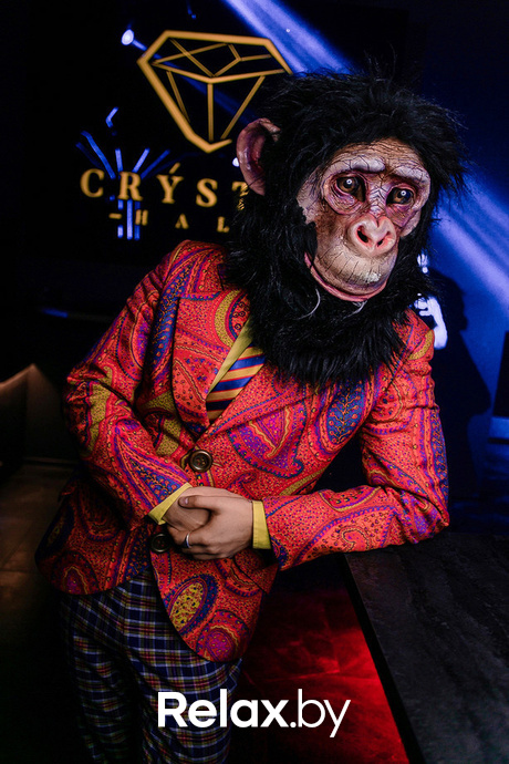 Birds show, фото № 13