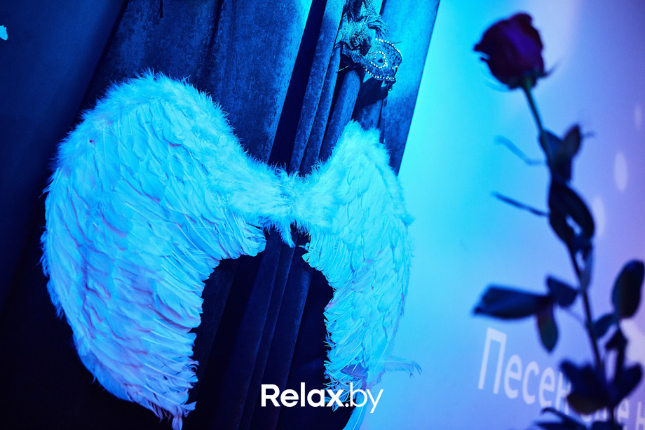 Черный лебедь, фото № 65