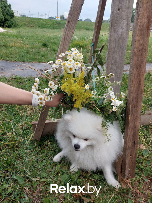 Купалье 2023, фото № 85