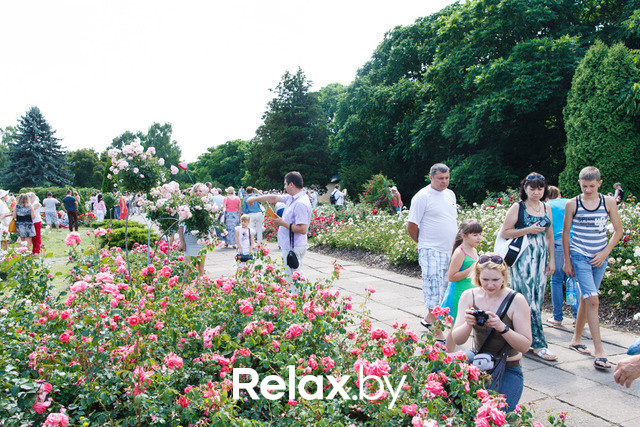 Фестиваль роз, фото № 14