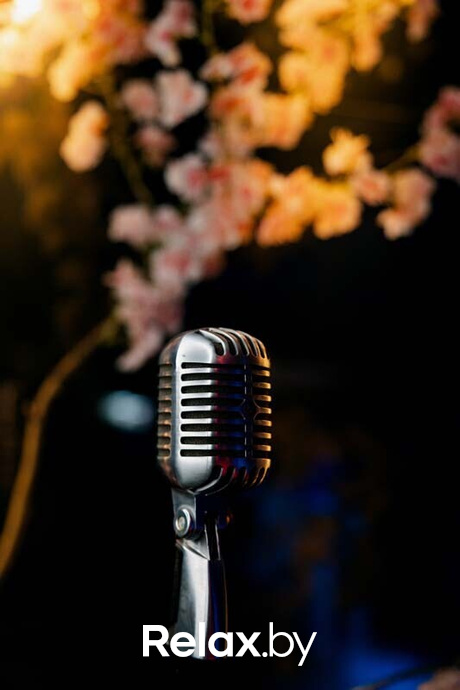 Терра Караоке, фото № 9