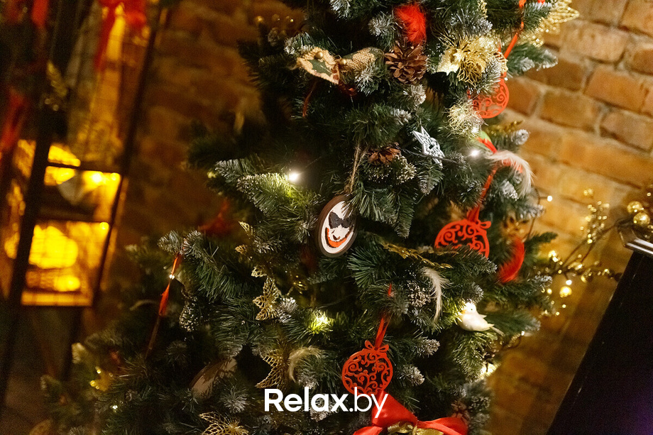 Live Lounge — Хелена Мерааи, фото № 36