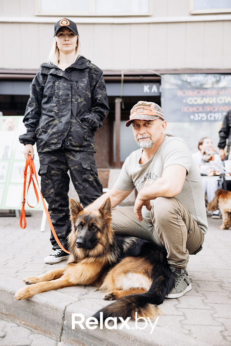 Акция Пушистого Добра, фото № 108