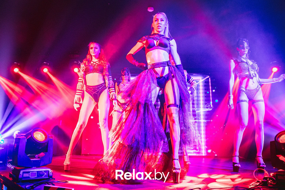 Birds show, фото № 70