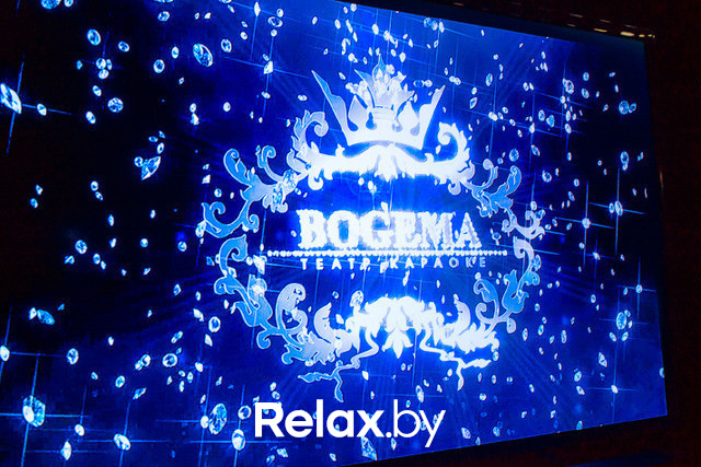 Фестиваль "Звезды караоке", фото № 23