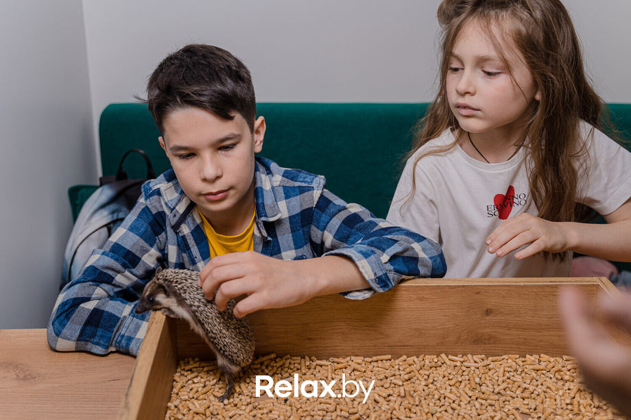 Открытие антикафе «Ёж кафе», фото № 16