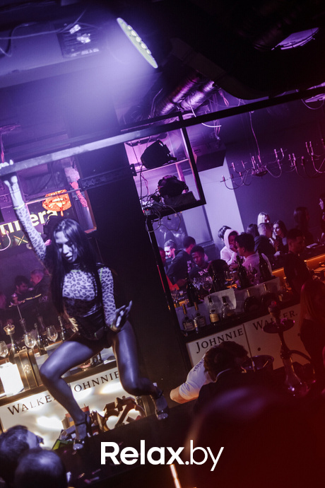 Saturday «Terrarium», фото № 32