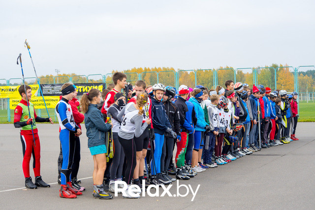 Золотая осень с Васильками, фото № 34