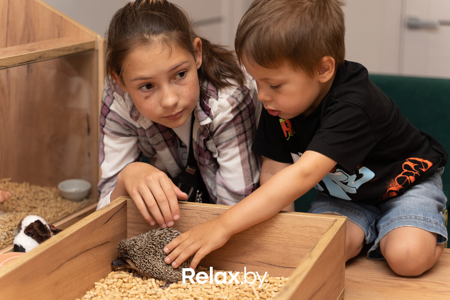 Открытие антикафе «Ёж кафе», фото № 50