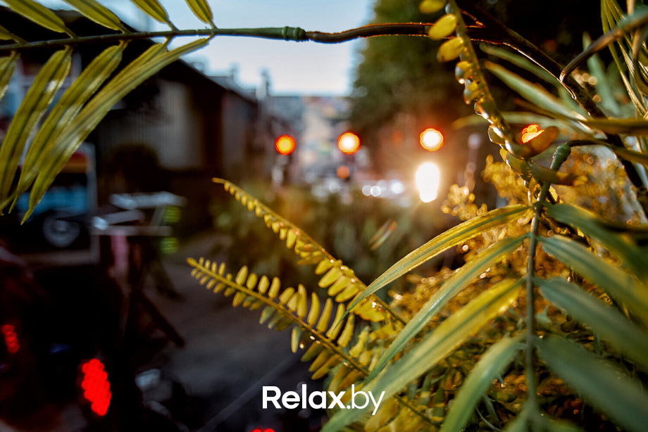 День Рождения Monkey Brothers, фото № 30