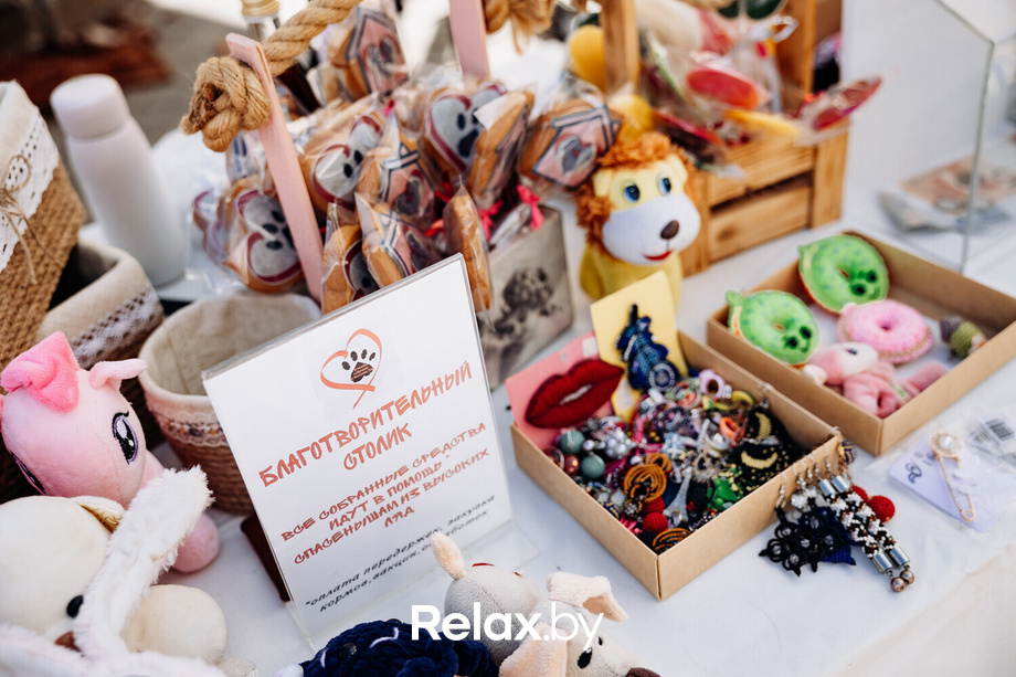 Акция Пушистого Добра, фото № 16