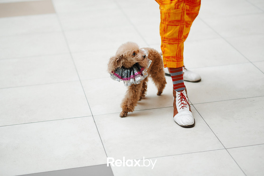 Благотворительный закрытый показ «Ловушка для привидения», фото № 29