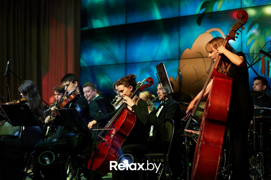 «LIXIANG L9 и оркестр Classic Energy», фото № 45