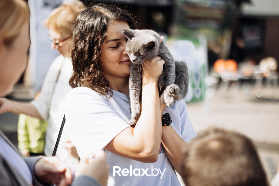 Акция Пушистого Добра, фото № 31