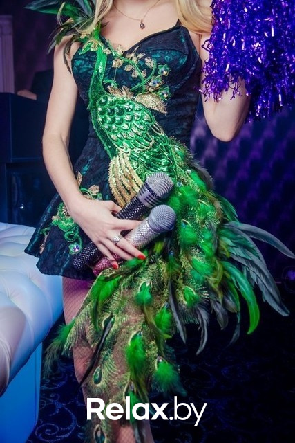 Субботняя караоке-программа, фото № 86