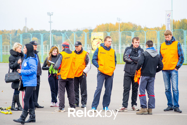 Золотая осень с Васильками, фото № 33