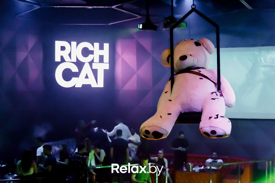 Rich Cat friday, фото № 108